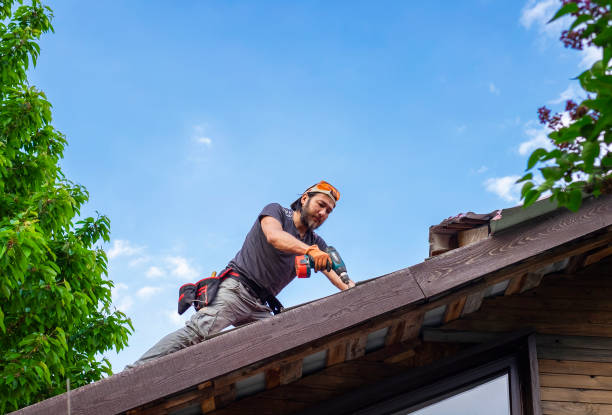 Best Roof Moss and Algae Removal  in Felton, CA